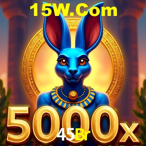 Login Seguro 45Br